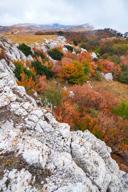 istock Autumn nature in the mountains 1179536533