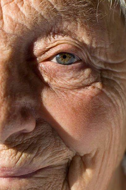 senior rosto - portrait vertical close up female imagens e fotografias de stock