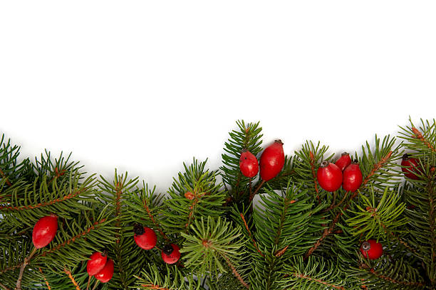 istock Red-green Christmas arrangement 117953955
