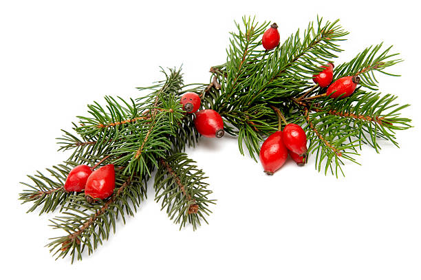 istock Red-green Christmas arrangement 117953985