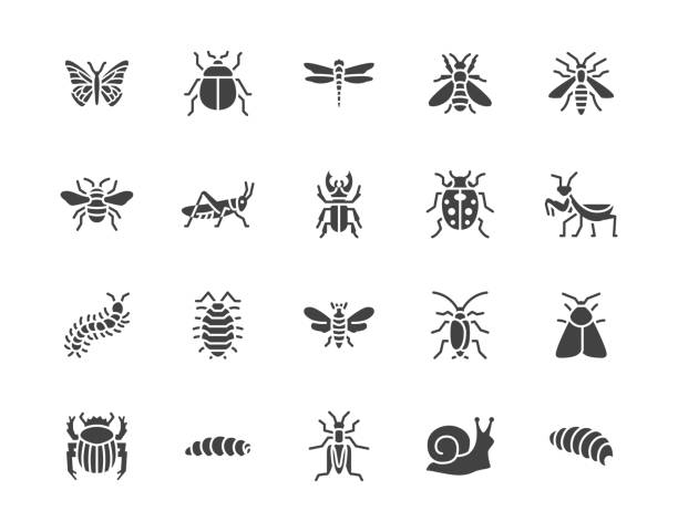 ilustrações, clipart, desenhos animados e ícones de ícones lisos do glifo do inseto ajustados. borboleta, erro, besouro de estrume, gafanhoto, barata, scarab, abelha, ilustrações do vetor da lagarta. sinais pretos para a praga dos insetos. pixel do pictograma da silhueta perfeito 64x64 - vírus de computador