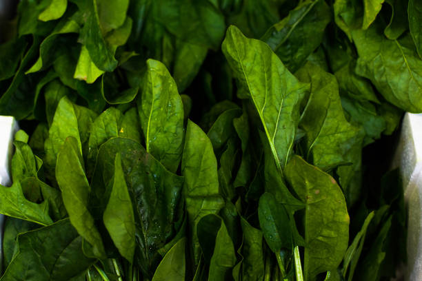 Spanish Natural and fresh gastronomy products in the market place