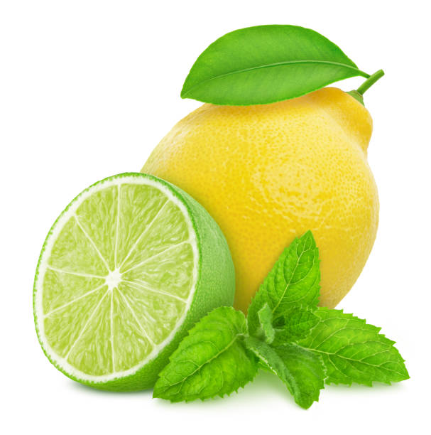 istock Composition with citrus fruits - lime and lemon isolated on a white background in full depth of field with clipping path. 1179548132