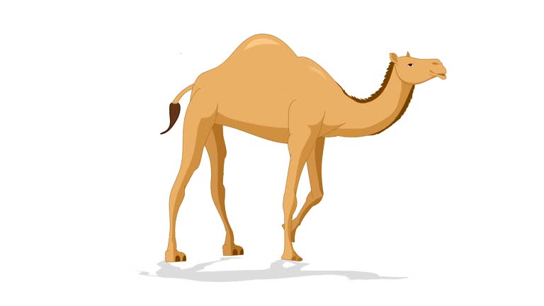 189 Camel Cartoon Stock Videos and Royalty-Free Footage - iStock | Camel colored 189 Camel Cartoon Stock Videos and Royalty-Free Footage - iStock | Camel colored