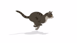 Cat Run Cycle Animation Stock Video - Download Video Clip Now - Domestic  Cat, Animation - Moving Image, Cartoon - iStock