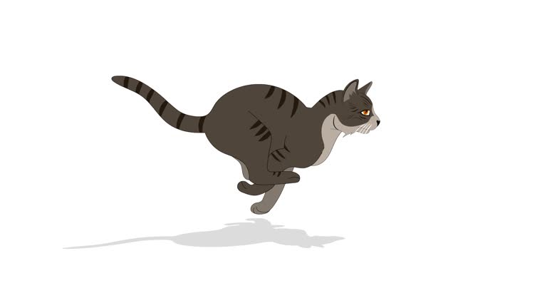 5,829 Cat Tail Stock Videos and Royalty-Free Footage - iStock | Cat tail up, Cat tail plant, Cat tail isolated 5,829 Cat Tail Stock Videos and Royalty-Free Footage - iStock | Cat tail up, Cat tail plant, Cat tail isolated