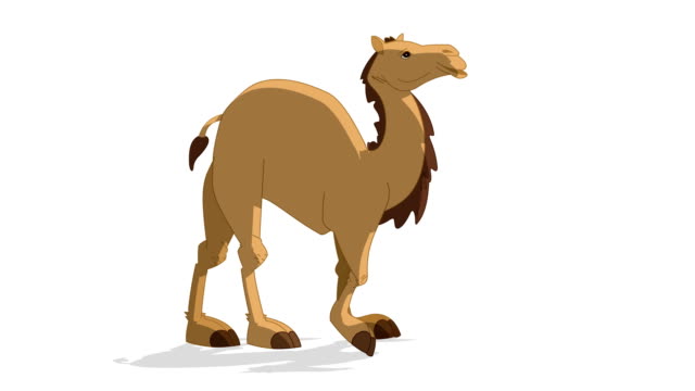 189 Camel Cartoon Stock Videos and Royalty-Free Footage - iStock | Camel  colored