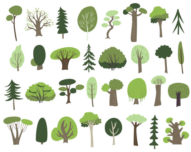 Trees in vector set Cute trees in vector set. Cartoon style. alder tree drawing stock illustrations
