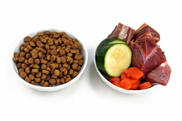 istock Concept for different dog feeding methods with bowl with dry food kibbles and bowl with chunk of raw meat and vegetables next to each other isolated on white background 1179554316