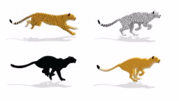 Cheetah Animal Run Cycle Animation Stock Video - Download Video Clip Now -  Running, Leopard, Animation - Moving Image - iStock