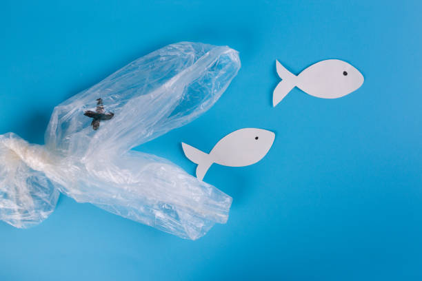 istock Environmental pollution of plastic in the ocean 1179557092