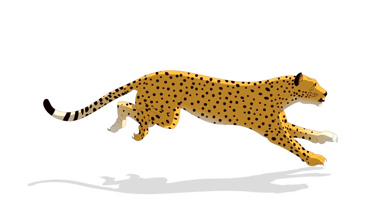 161 Leopard Running Stock Videos and Royalty-Free Footage - iStock | Snow leopard running 161 Leopard Running Stock Videos and Royalty-Free Footage - iStock | Snow leopard running