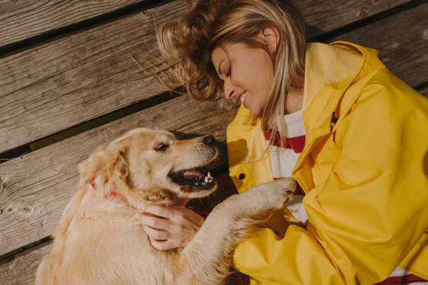 istock Best friends on the dock 1179557878