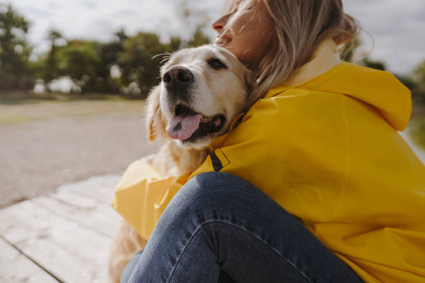 istock Best friends on the dock 1179557879