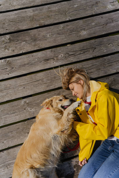 istock Best friends on the dock 1179557883