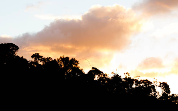 istock Sunset over the Malagasy jungle 1179559223