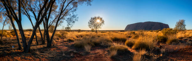 lumière d'aube à uluru - uluru australia northern territory sunrise photos et images de collection