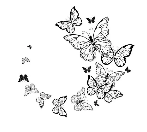 Vector illustration of Flight of contour butterflies