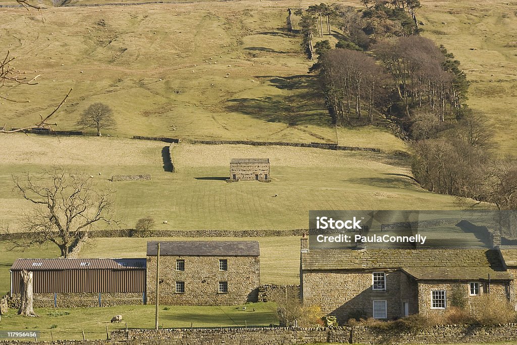 Yorkshire Farm - Foto de stock de Aire libre libre de derechos