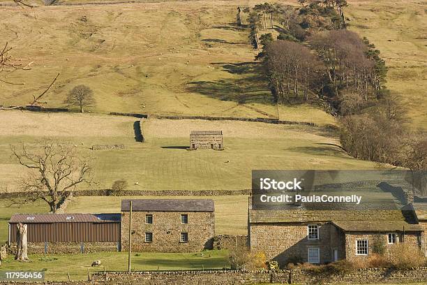 Yorkshire Farm Foto de stock y más banco de imágenes de Aire libre - Aire libre, Ajardinado, Casa
