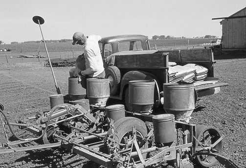 Farmer filling four row planter with seed during spring planting. Wellman, Iowa, 1964. 1953 Chevrolet pickup in background. Scanned film with grain.