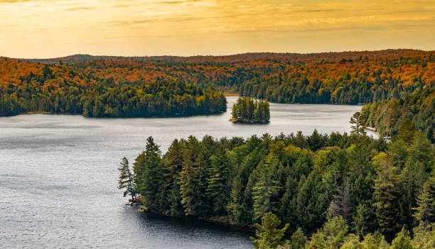 istock View over a lake with pine tree forests in Ontario 1179565910