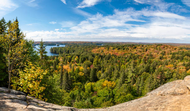 istock Panoramic view over Algonquin Park in Ontario, Canada 1179566511