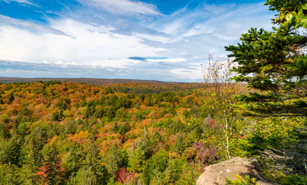 istock Fall tree colour in Algonquin Park in Ontario, Canada 1179566914