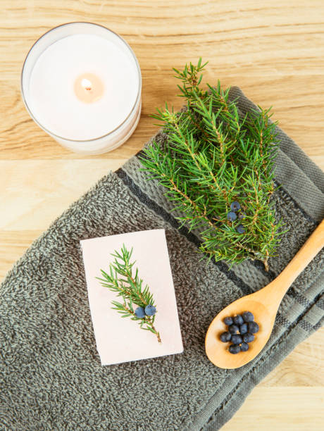 istock Flat lay view Juniper latin Juniperus communis berry soap bar, juniper tree branch with confier cones and spoon with berries, copy space.  Juniper tree berries and oil in beauty cosmetics concept. 1179567015