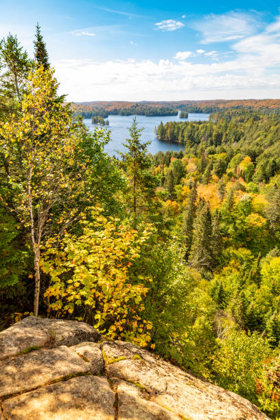 istock Lake in Algonquin Park in Ontario, Canada 1179567094