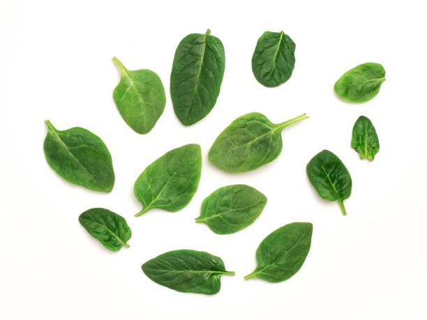 istock Baby spinach leaves on a white background, top view with copy space, mock up 1179570483