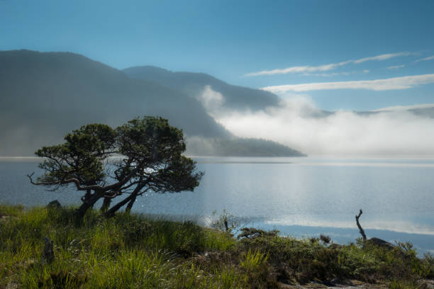 At the edge of a lake, early in the morning, A cloud is hanging over the lake At the edge of a lake, early in the morning, Some fog in the distance. Photo was made at the foot of Preikestolen in Norway. lysefjorden stock pictures, royalty-free photos & images