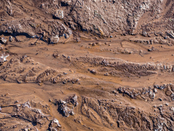 천연 유기 점토로 젖은 갈색 토양, 비 배경 후 진흙 바닥 - mud 뉴스 사진 이미지