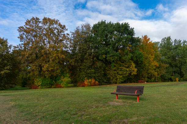 istock Autumn landscape with a lonely park bench 1179576602