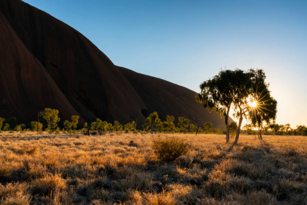 lumière d'aube à uluru - northern territory flash photos et images de collection