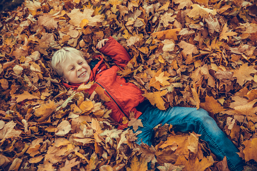 Boy in the autumnal park