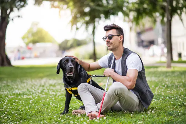 Photo of Young blind man with white cane and guide dog sitting in park in city.