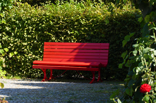 red bench in park under tree