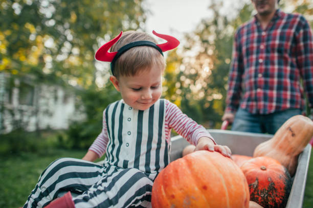 istock Cute boy and his father with pumpkins in autumn 1179582064