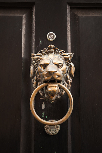 Old classic doorknob in shape of lion head with ring mounted on dark vintage wooden door, close-up photo