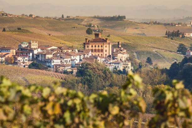 Village of Barolo with Barolo Castle, Castello di Barolo, Piedmont, Italy stock photo