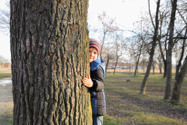 istock little boy is hiding behind a big tree. A child peeks out from behind a tree trunk. 1179584749