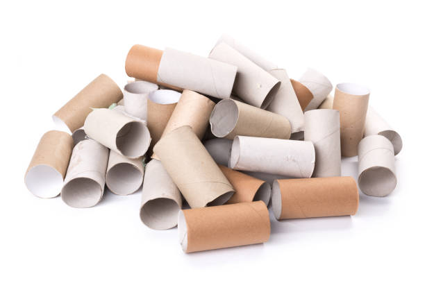 istock empty paper toilet rolls on white background 1179584994