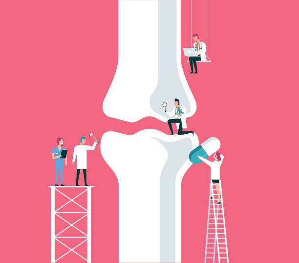 kości - kość stock illustrations