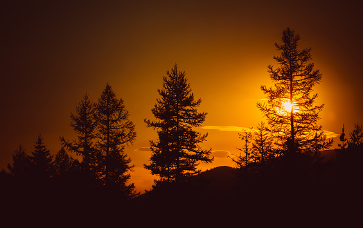 Mountain forest trees silhouetted against a vibrant orange sunset sky. No people in image. Horizontal composition and copy space.