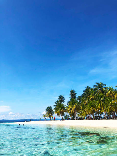 paradise-stranden på san blas öar, skärgård i panama. - san blas bildbanksfoton och bilder
