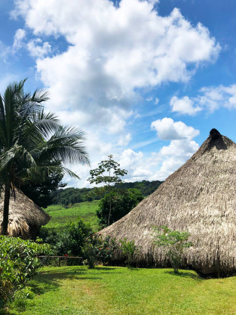 istock Embera tribe houses - an authentic thatched hut in the indigenous territory in Panama. 1179586738