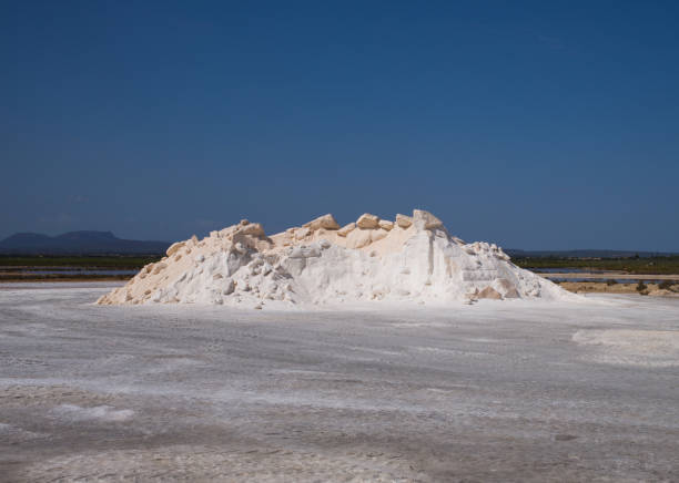 istock Pile of crude salt 1179587490