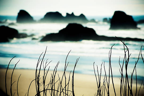 istock Rocky Beach on Oregon Coast 117958790