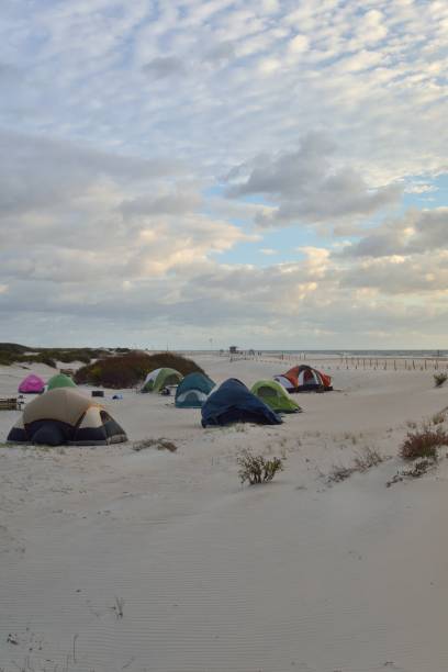 Assateague Island Tent Campground - V It’s October and the tourist still come to pitch their tents along the beaches of the assateague island national seashore and the families bring their children and pets to romp on the beach and collect seashells and other memories. eastern shore sand sand dune beach stock pictures, royalty-free photos & images